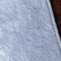 月曜日処分！０円✨カーペットの画像