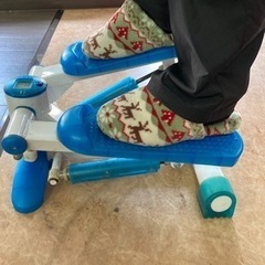 足踏みマシーンの画像