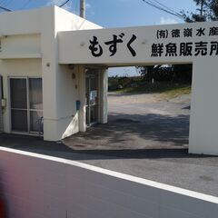 ☆短期アルバイト募集☆　 うるま市　もずく　(３月～５月頃まで)