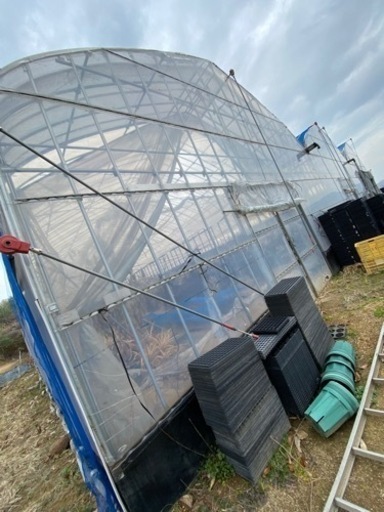 決まりました！大型ビニールハウス　美品　農業独立開業希望の方は必見