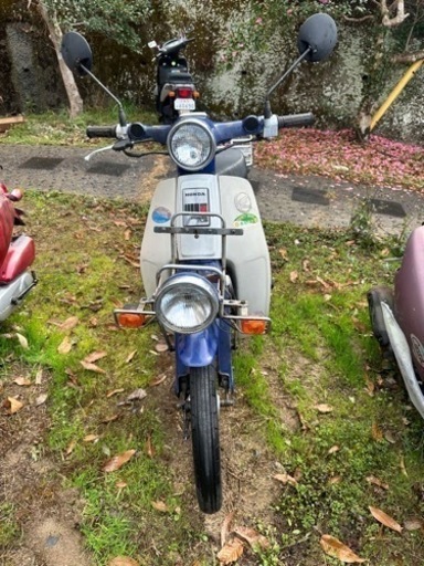 カブ　格安　訳あり