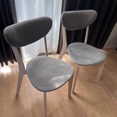 【未使用組立式】ダイニングチェア2脚の画像