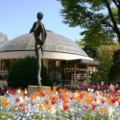 【名城公園で散歩】しようの会