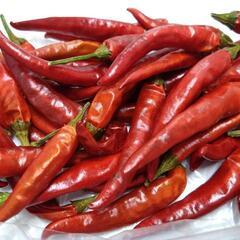 赤トウガラシ 乾燥唐辛子🌶