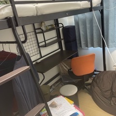 ロフトベット