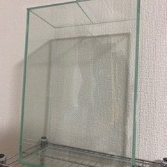 水槽 飼育セット 0円取りに来れる方