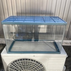 60cmの水槽です