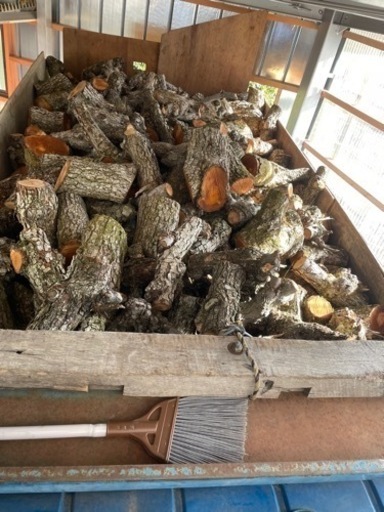 梨の木　薪　玉切り　③