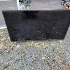 テレビ