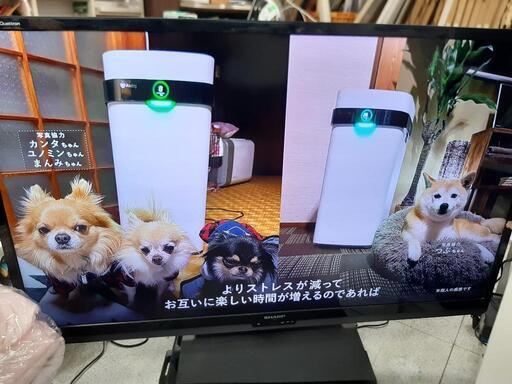 【引取先決まりました！】 60型 液晶テレビ SHARP AQUOS LC-60G7 2013年製品 テレビ 60インチお店までご来店をお待ちしております！