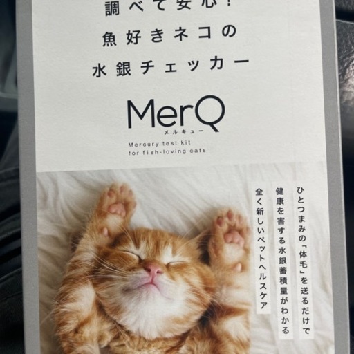 アイコンと水銀チェッカーセットで