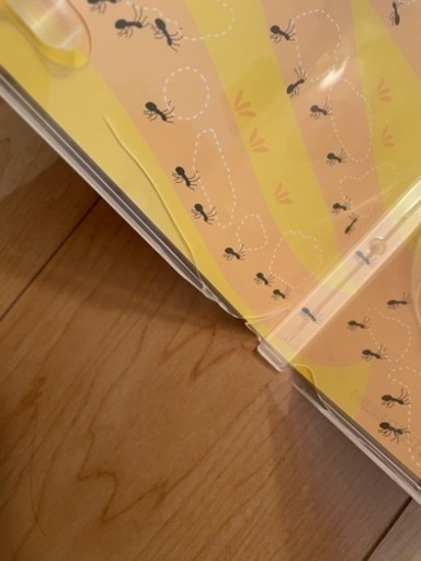 ミライグリッシュ DVD