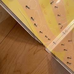 ミライコイングリッシュ DVDの画像
