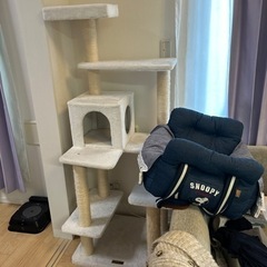 2/18希望。全て引き取ってくれる方のみ返信します。の画像