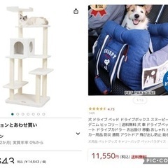 2/18希望。全て引き取ってくれる方のみ返信します。の画像