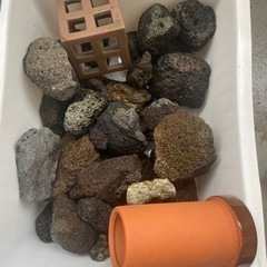 溶岩石　シェルター