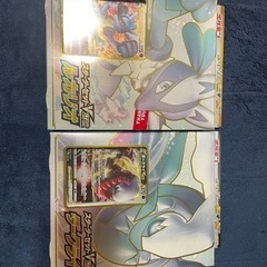 ポケモンカード　スターターセット　ダークライ　ルカリオ
