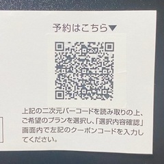 【2月限定】JR 東日本びゅう ダイナミックレールパック 割引クーポン 3,000円分の画像