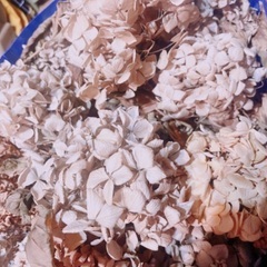 大量のドライフラワー　花　インテリア