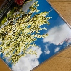 正規品音楽CD 3曲　一青窈　ハナミズキの画像