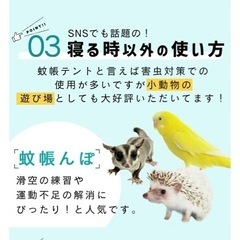 ワンタッチ 蚊帳 テントの画像