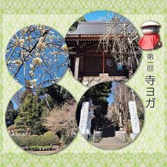 第一回寺ヨガ ＆ 2月・３月ヨガスケジュール🗓️の画像