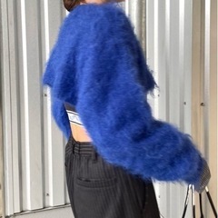 ブラッシュコンパクトニットの画像
