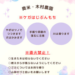 草取りして畑キャンプ  1000円の画像