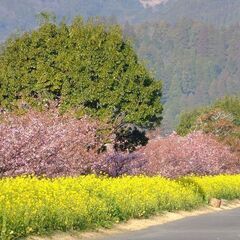 お散歩コースの情報交換しましょう！ - メンバー募集
