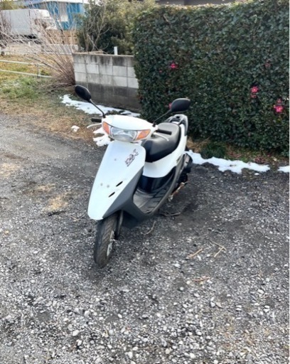 735. 動画あり　ホンダ　ライブディオZX仕様　バイク　原付　50cc   車体　埼玉