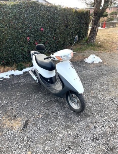 735. 動画あり　ホンダ　ライブディオZX仕様　バイク　原付　50cc   車体　埼玉