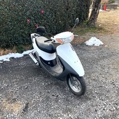 735. 動画あり　ホンダ　ライブディオZX仕様　バイク　原付　50cc   車体　埼玉の画像