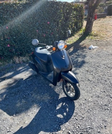 736. 動画あり　ホンダ　AF61 トゥデイ 原付　バイク　50cc   車体　本体