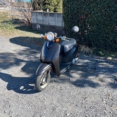 736. 動画あり　ホンダ　AF61 トゥデイ 原付　バイク　50cc   車体　本体の画像