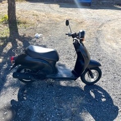 736. 動画あり　ホンダ　AF61 トゥデイ 原付　バイク　50cc   車体　本体の画像