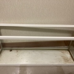 水槽 ケージ 爬虫類 両生類 魚 ガラスケース