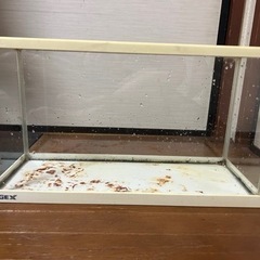 GEX デスクボーイ 45cm水槽