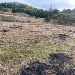 乗用田植え機　使わない方譲ってください