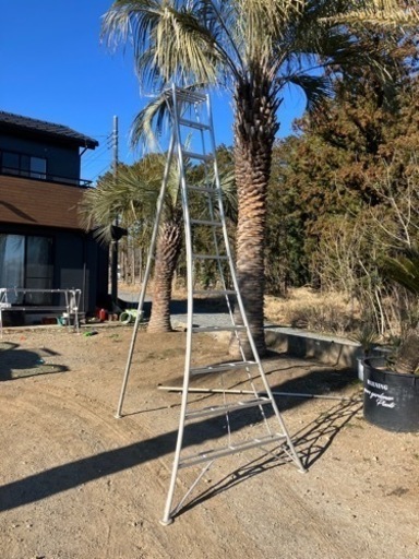 11尺、アルミ３脚、植木剪定用、引き取り限定