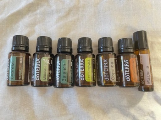 doTERRA 正規品　ドテラキット　箱無し　他社メーカー精油有り