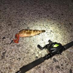 どうも、釣りバカです(⁠๑⁠´⁠•⁠.̫⁠ ⁠•⁠ ⁠`⁠๑⁠) − 茨城県