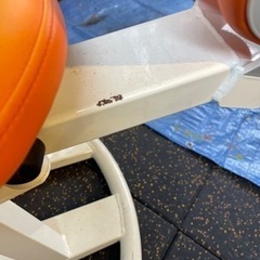 スポーツ フィットネス、トレーニングの画像