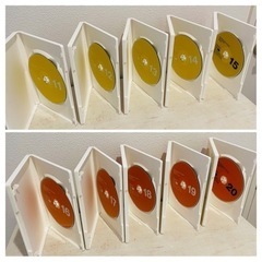 World Wide Kids  DVD 全6巻セット　ワールドの画像