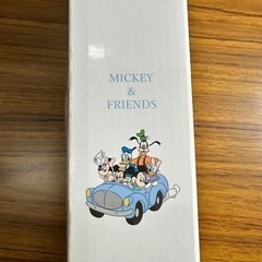 ディズニーステンレスボトルの画像