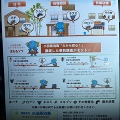 シロアリ駆除！ゴキブリ、ネズミ駆除致します！！