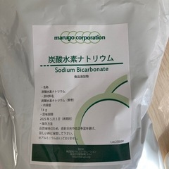 炭酸水素ナトリウム　　食品添加物