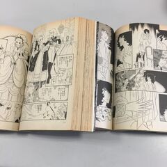 ○【2冊セット】ベルサイユのばら ベルばら 愛蔵版 少女漫画 マンガ 池田理代子 中古(NF240216)277-152の画像