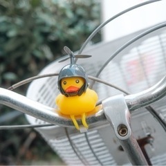 「カメラで」 − 和歌山県