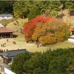 【岡山県備前市】マルシェへの出店登録者を募集します！