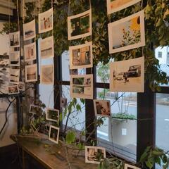 フィルムカメラの写真展